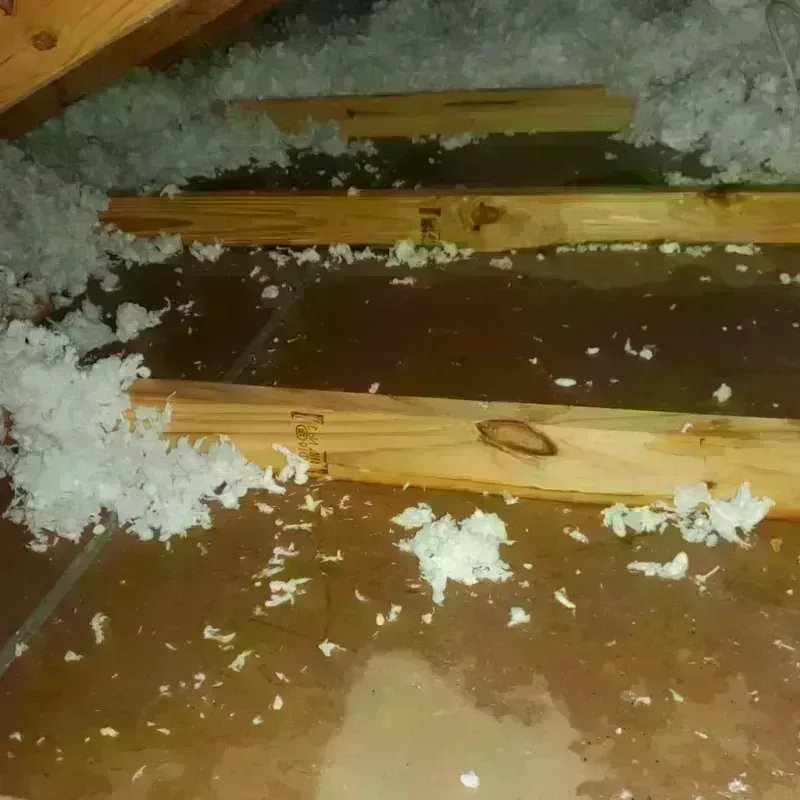 Attic Water Damage in Wilsonville, AL