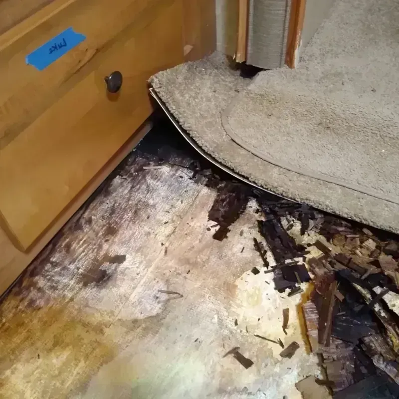 Best Wood Floor Water Damage Service in Wilsonville, AL